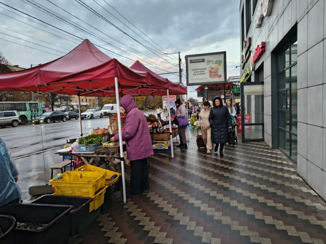 Скролл 3.15x2.3,  Миру пр, 15