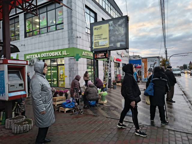 Скролл 3.15x2.3,  Миру пр, 15